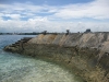 IMG_8528-_800x600