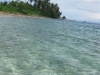 IMG_8537-_450x600