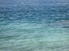 IMG_8579-_800x600