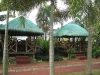 IMG_8462-_800x600
