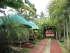 IMG_8466__800x600