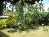 IMG_8478__800x600