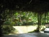 IMG_8484-_800x600