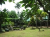 IMG_8488-_800x600
