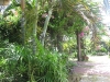 IMG_8497-_800x600