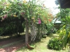 IMG_8501-_800x600